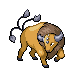 Tauros in Diamond & Pearl