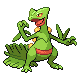 Sceptile in Diamond & Pearl