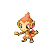 Chimchar, Front, in Diamond & Pearl