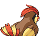 Pidgeotto, Back, in Diamond & Pearl