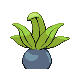 Oddish, Back, in Diamond & Pearl