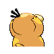 Psyduck, Back, in Diamond & Pearl