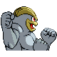 Machamp, Back, in Diamond & Pearl