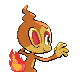 Chimchar, Back, in Diamond & Pearl