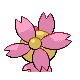 Cherrim Sunshine Form, Back, in Diamond & Pearl