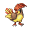 Pidgeotto, Front, in Emerald