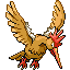 Fearow in Emerald