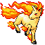 Rapidash, Front, in Emerald