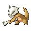 Marowak in Emerald
