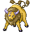Tauros in Emerald