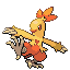 Combusken, Front, in Emerald
