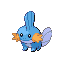 Mudkip, Front, in Emerald