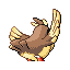 Pidgey, Back, in Emerald