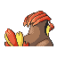 Pidgeotto, Back, in Emerald