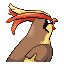 Pidgeot, Back, in Emerald