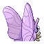 Venomoth, Back, in Emerald