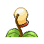 Bellsprout, Back, in Emerald