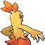 Combusken, Back, in Emerald