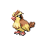 Pidgey, Front, in FireRed & LeafGreen