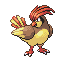 Pidgeotto in FireRed & LeafGreen