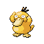 Psyduck, Front, in FireRed & LeafGreen