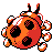 Ledyba, Back, in Gold & Silver