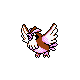 Pidgey in Gold