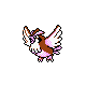 Pidgey