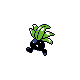 Oddish