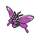 Venomoth