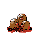 Dugtrio