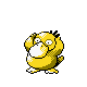 Psyduck