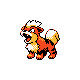 Growlithe, Front, in Gold & Silver