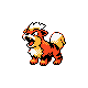 Growlithe