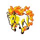Rapidash in Gold