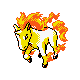 Rapidash