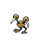 Doduo in Gold