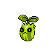 Sunkern in Gold