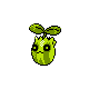 Sunkern