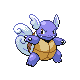 Wartortle in HeartGold & SoulSilver