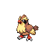 Pidgey in HeartGold & SoulSilver