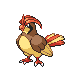 Pidgeotto in HeartGold & SoulSilver