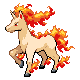 Rapidash in HeartGold & SoulSilver