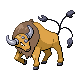 Tauros in HeartGold & SoulSilver