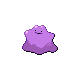 Ditto in HeartGold & SoulSilver