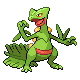 Sceptile in HeartGold & SoulSilver