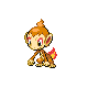 Chimchar, Front, in HeartGold & SoulSilver