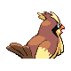 Pidgey, Back, in HeartGold & SoulSilver