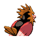 Spearow, Back, in HeartGold & SoulSilver