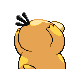 Psyduck, Back, in HeartGold & SoulSilver
